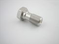 Hollow screw M10x1.0 Spiegler  silver hydraulic disc brake