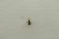 Screw M6x10 counter sunk raised head zinced for switch...