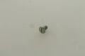 Screw M6x10 counter sunk raised head zinced for switch...